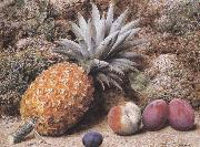 John Sherrin A Pineapple,a Peach and Plums on a mossy Bank (mk37) USA oil painting reproduction